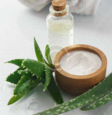 Young eco cosmetics brands who deserve your attention